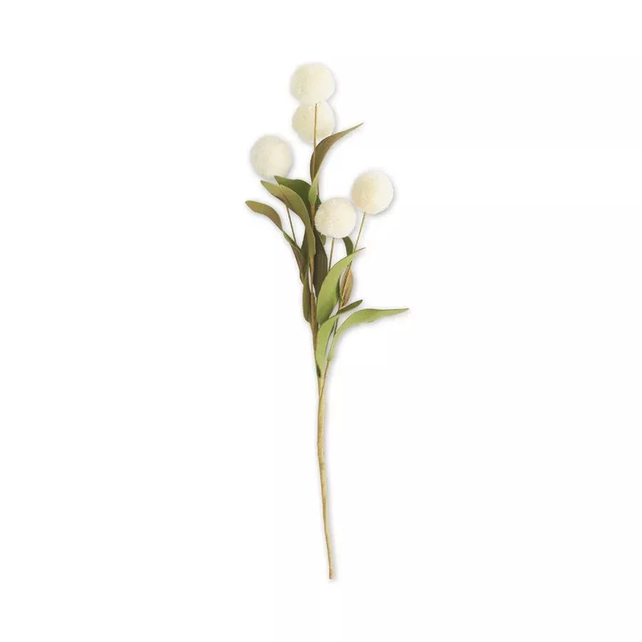 13" CREAM 5 BALL POMPOM PICK SET
