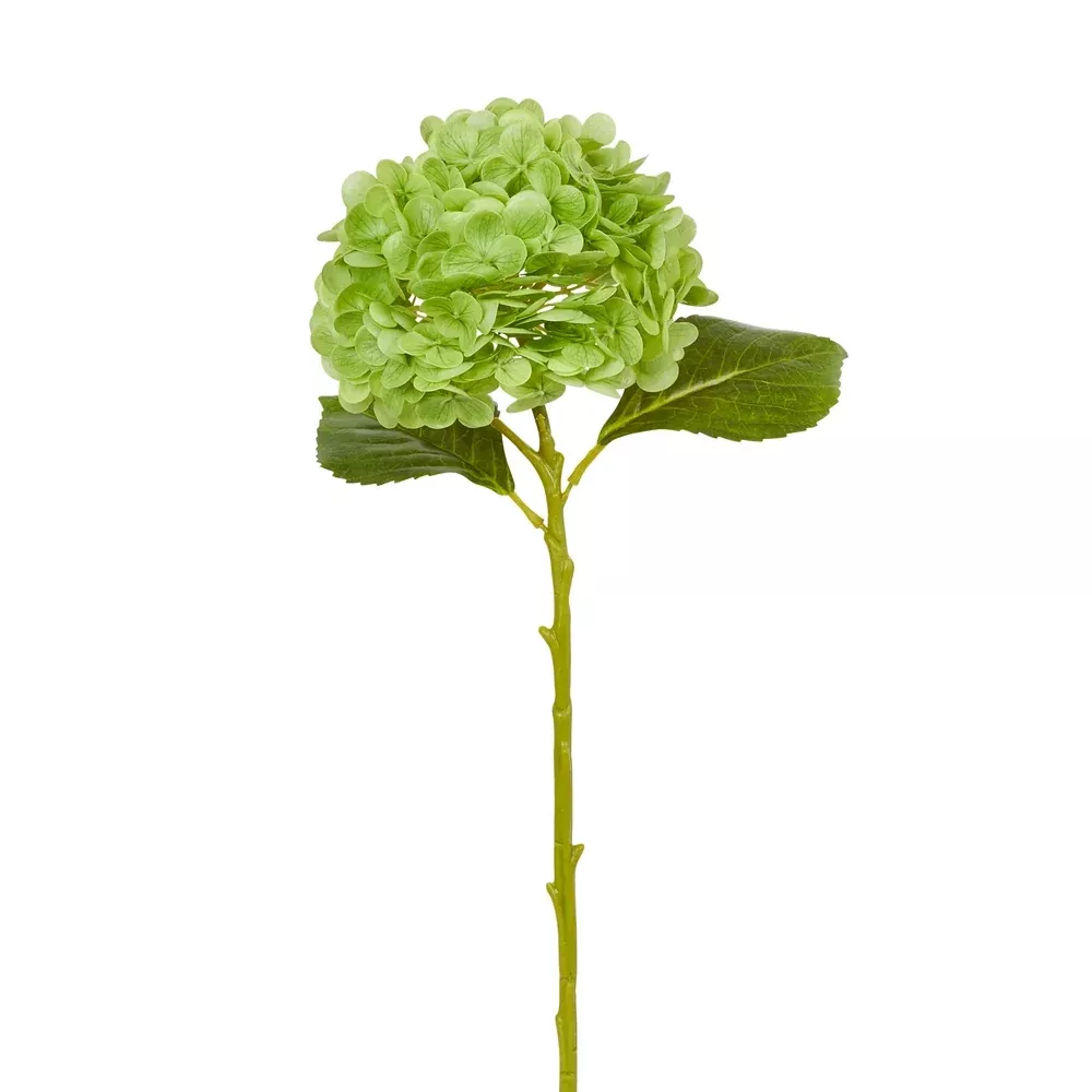 19" REAL TOUCH GREEN HYDRANGEA STEM