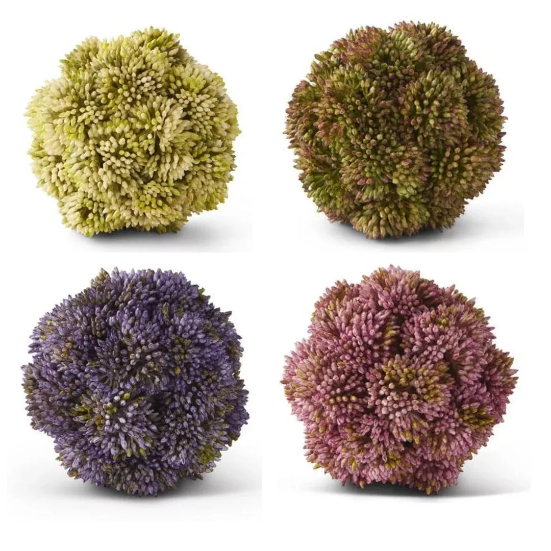 4" SEDUM BALL