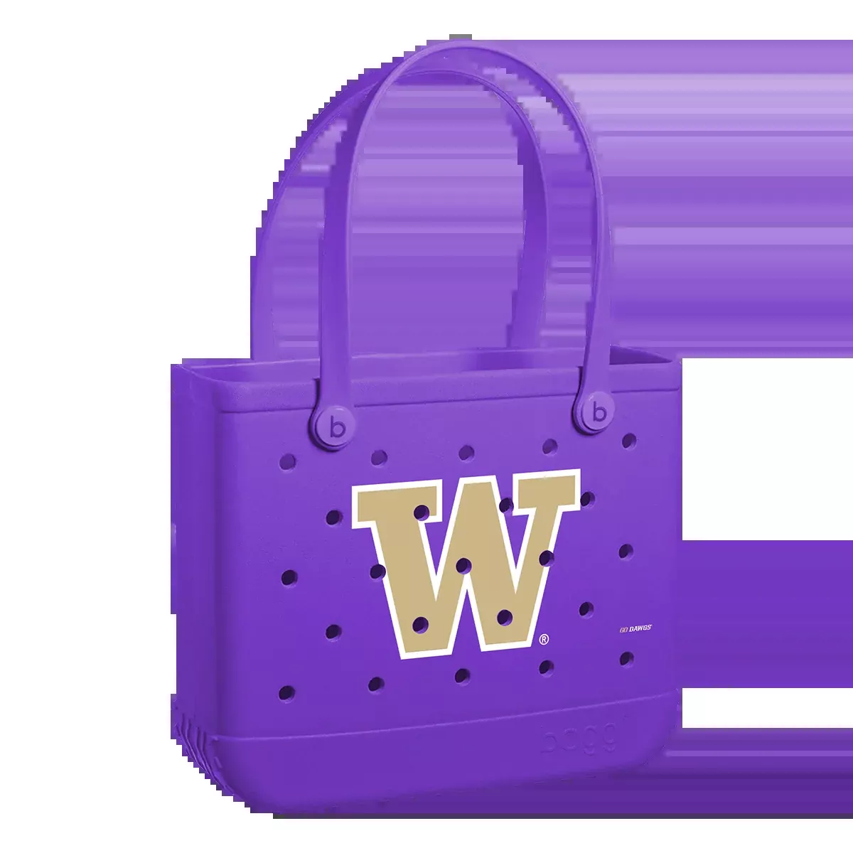Baby Bogg Bag - Washington Huskies