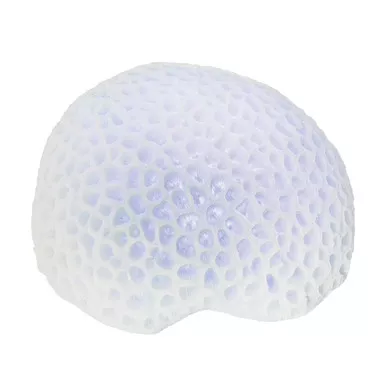 Beachcombers White Sea Coral Blue Led Tabletop Light