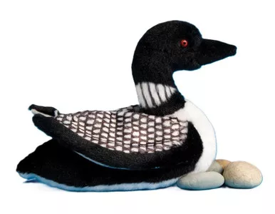 Douglas Ludwig Stuffed Loon Bird