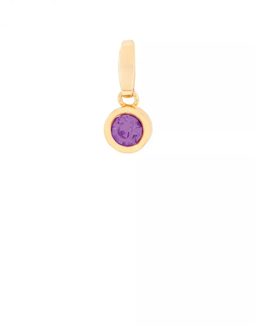 FEB ROUND GEM BIRTHSTONE CHARM
