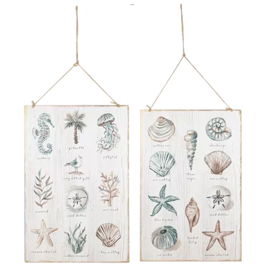 Ganz Coastal Shell Chart Metal Wall Decor