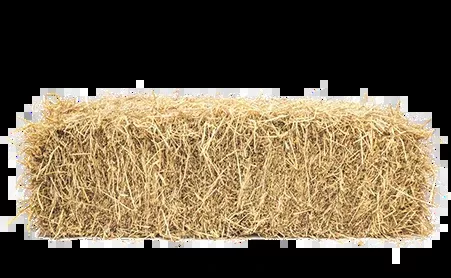 Hay Bag