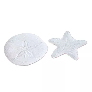 Mud Pie Sand Dollar Starfish Sea Platter Serving Set