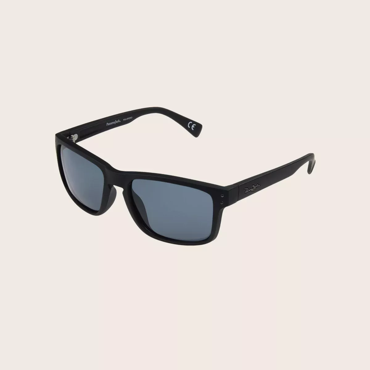 Polarized Matte Black Classic Sunglasses