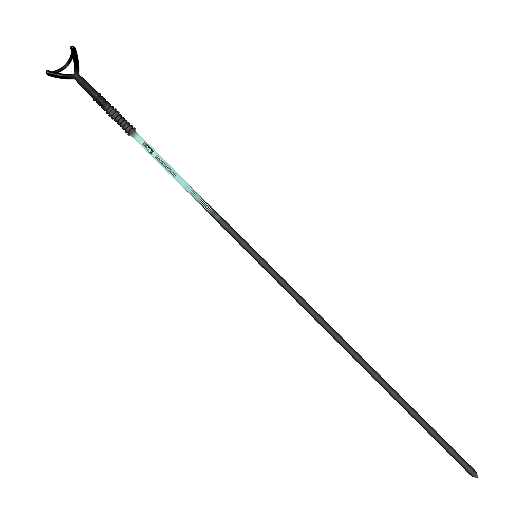 Sandspear